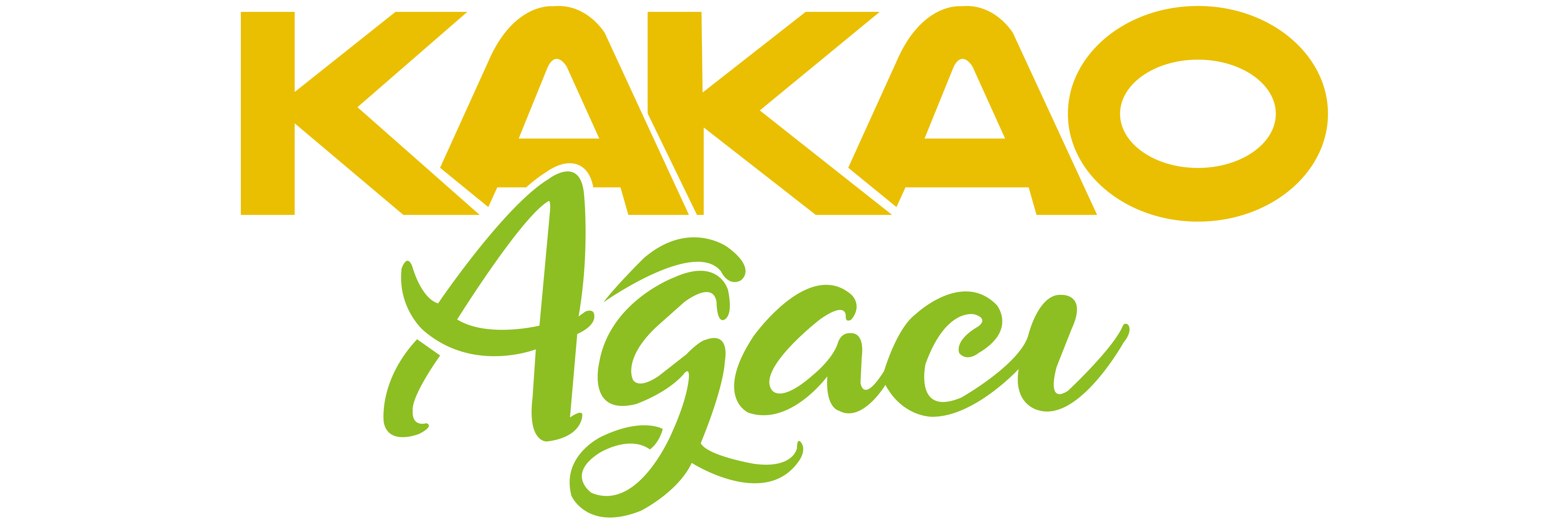 KAKAO AĞACI